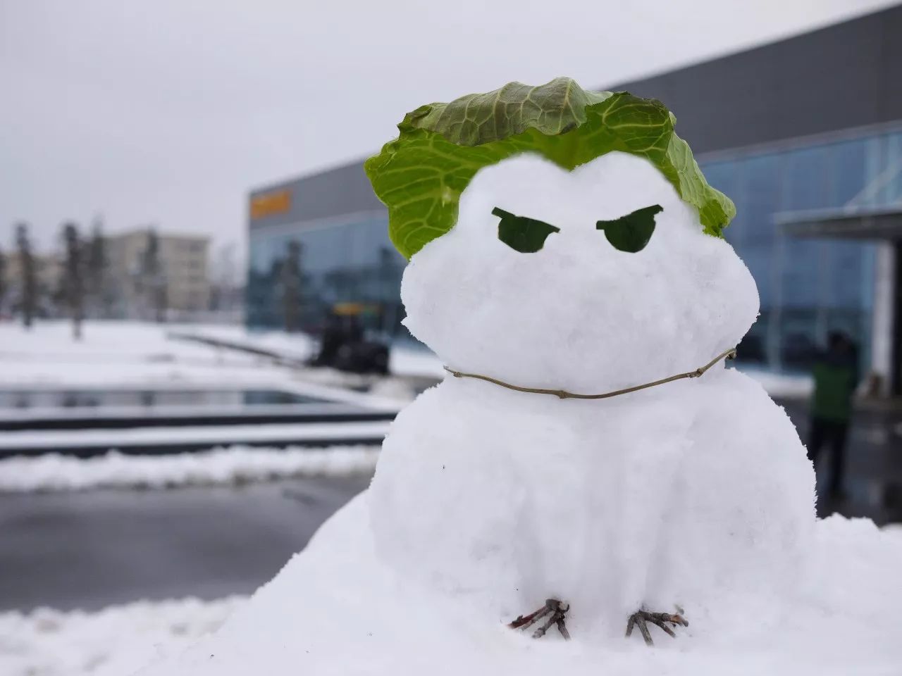 mg不朽情缘(中国)游戏官方网站