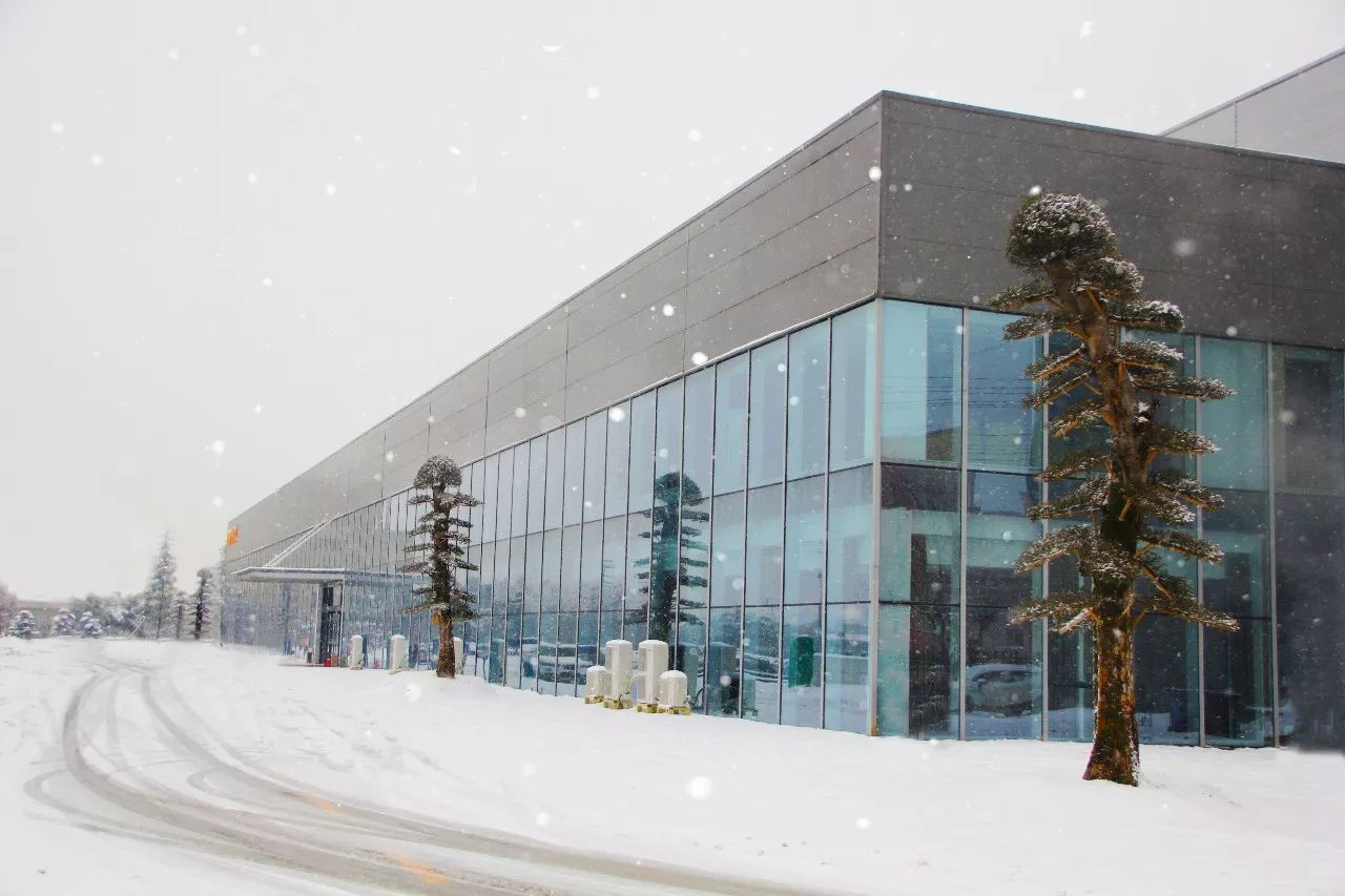 mg不朽情缘(中国)游戏官方网站